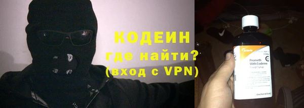мяу мяу мука Гусь-Хрустальный