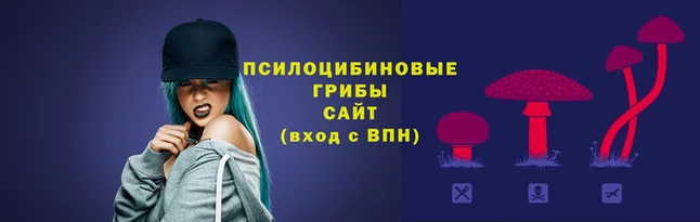 мяу мяу мука Гусь-Хрустальный